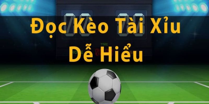 Cách đọc tài xỉu bóng đá dễ hiểu nhất