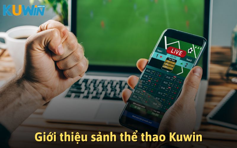 Khám phá sân chơi sôi động của các tín đồ thể thao